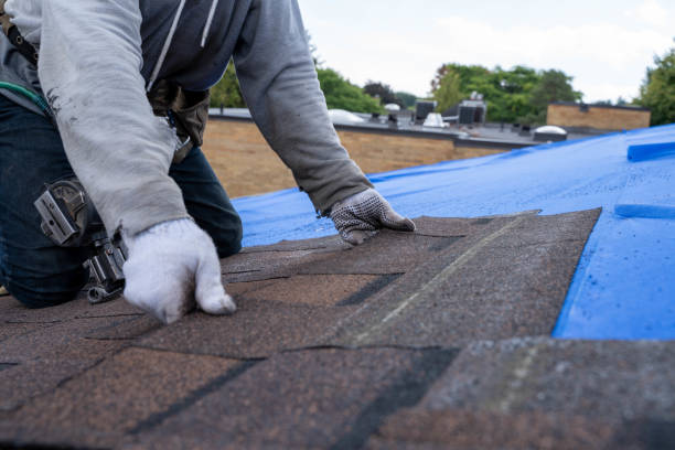 Best New Roof Installation  in Schoolcraft, MI