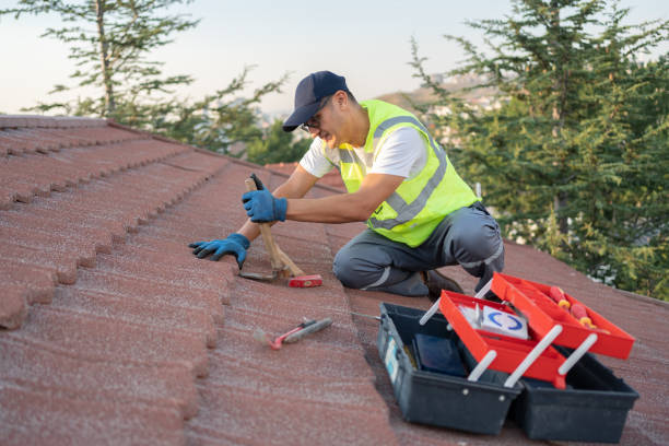 Best New Roof Installation  in Schoolcraft, MI