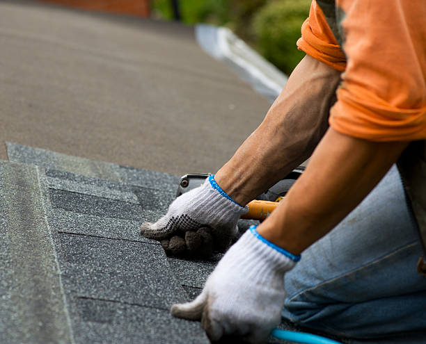 Best Roof Maintenance Services  in Schoolcraft, MI