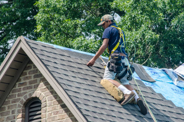 Best New Roof Installation  in Schoolcraft, MI
