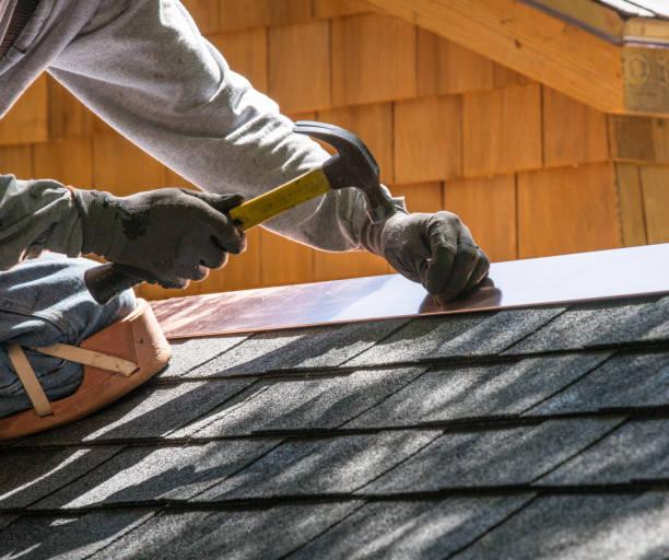 Best Roof Waterproofing Services  in Schoolcraft, MI